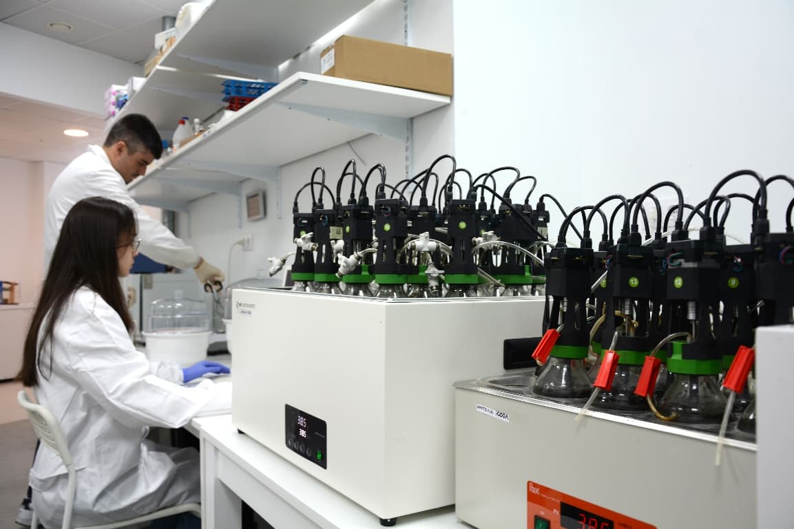 Trabajo de laboratorio del que salen los resultados que estructuran el informe del proyecto